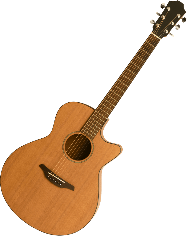 Guitare acoustique en bois